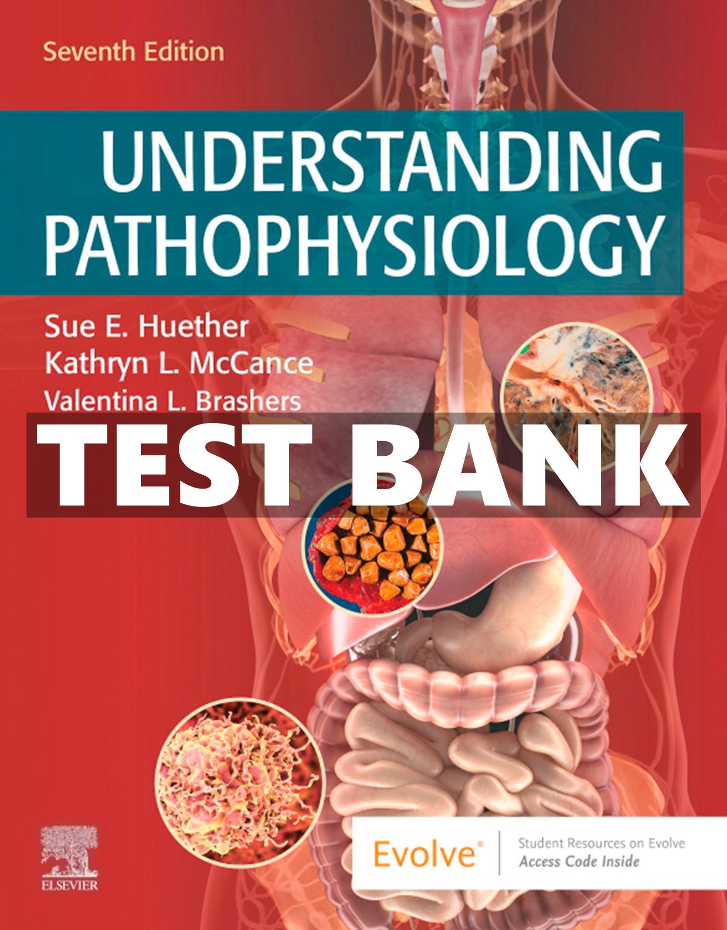 Test bank cover for Understanding Pathophysiology with medical illustrations on a red background EasyTestBank